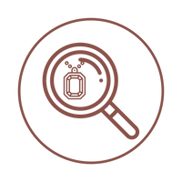 Guided Consultations